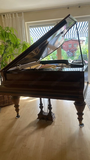 Blüthner-Flügel, 190 cm, zu vermieten