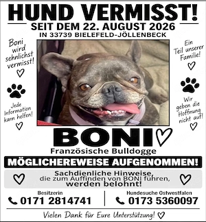   ENTLAUFEN   französische Bulldogge    VERMISST   
