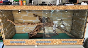 Großes Terrarium (selbst gebaut) 