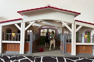 Schleich Sammlung Schnäpchen    