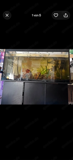 aquarium 200l komplett ohne besatz