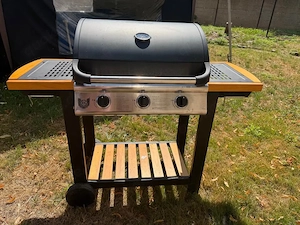 Gasgrill ( Gas   Peletts und Holzkohle )