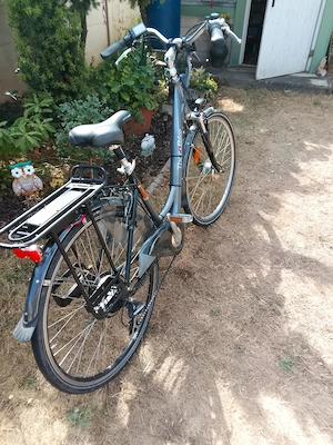Verkaufe mein E-Bike , 28 zoll, 7 Gang-Kettenschaltung, Bild 2