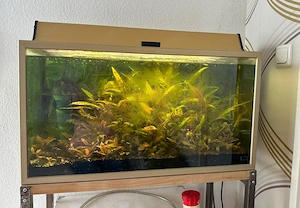 Aquarium Terrarium zu verschenken