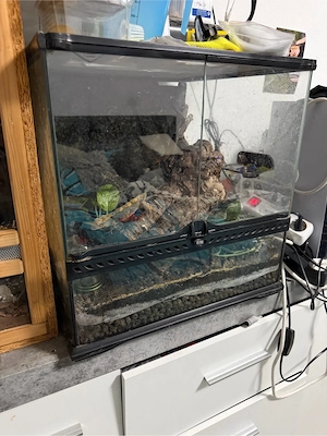 Terrarium 60   60   60 cm abzugeben
