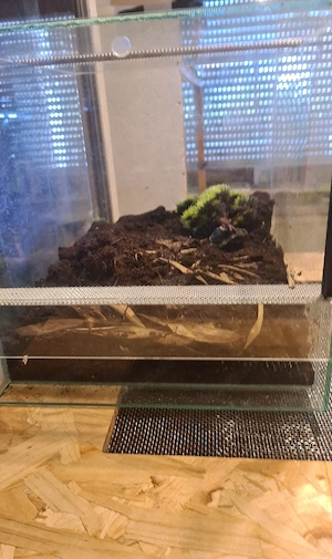 Terrarium mit falltür 