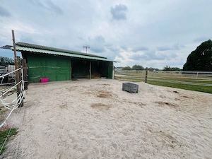 Offenstall Paddocktrail Pferd Pony Shettys Bild 3