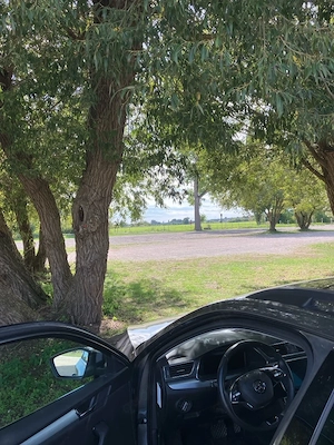 14.9. ab 11Uhr am Parkplatz Baiersdorfer Weiher... Welches Luder zieht die Short weg und Bläst ? 