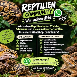     Reptilienhalter, Züchter & Reptilienfreunde gesucht!   