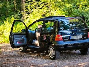 Renault twingo  C06