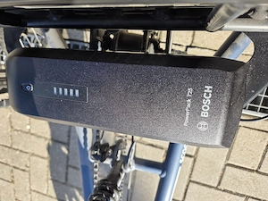 Pfau-TEC Scoobo Smart Dreirad Neuwertig 6 Monate erst alt 329km. Bild 2