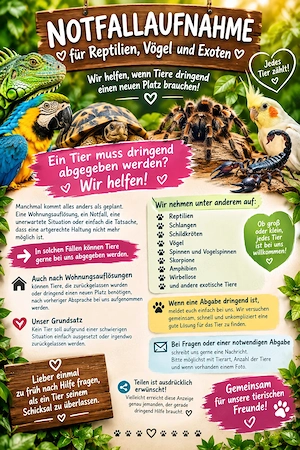  Liebevolle Notfallaufnahme für Reptilien, Spinnen, Skorpione & Co.  