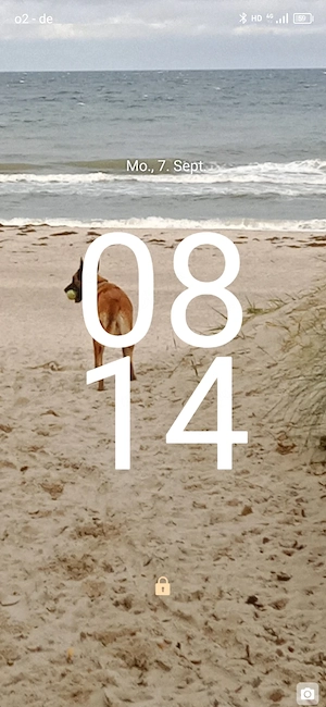 Malinois, weiblich, unkastriert