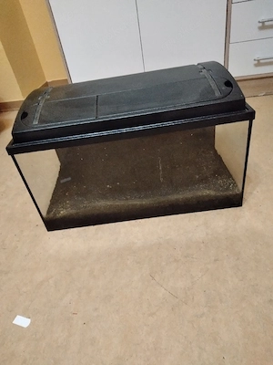 Terrarium gute zustand 