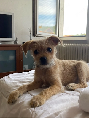 Zwei Jungs suchen zu Hause 