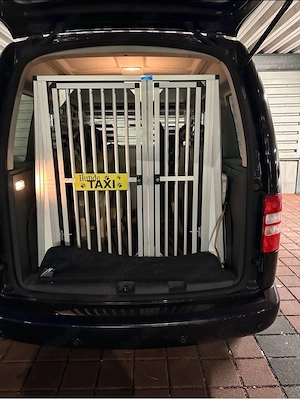 Hundetransportbox WT Metal für zwei Hunde