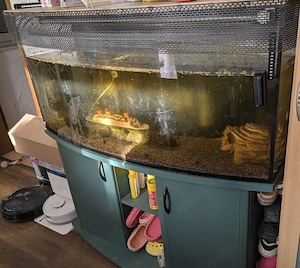 Aquarium mit Schrank ca 200l