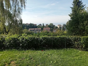 Meersburg Bodensee   Seesicht   95 m    vermietet   tierlieber Kapitalanleger gesucht