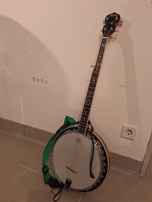 Washburn Bluegrass Banjo B-9
