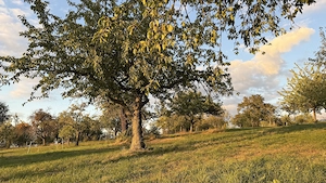 Outdoor selbst befriedigen