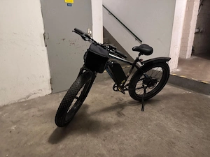 E-Bike  Fatbike 