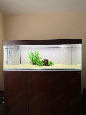Aquarium mit Unterschrank