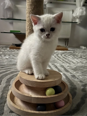 Liebe Tierfreunde