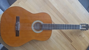 Gitarre für Einsteiger