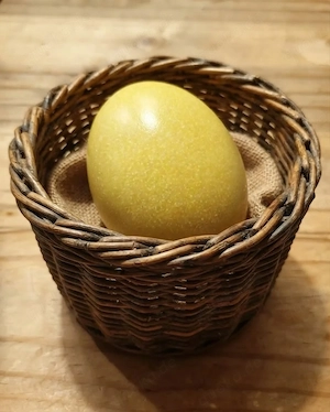 Nandu Eier