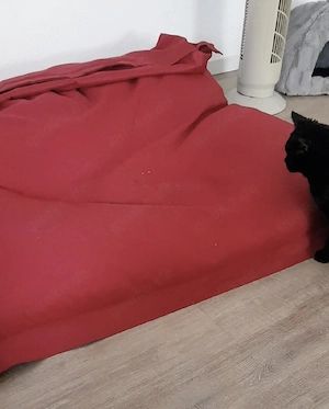 sitzsack rot 