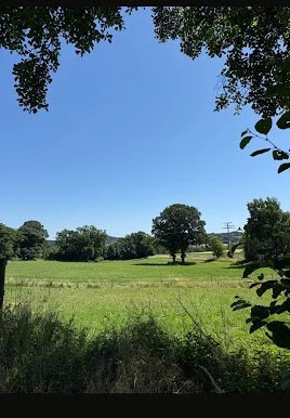 Offenstall Einstellplatz