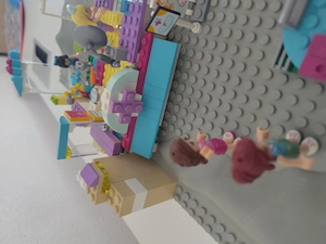 Lego Friends Tierarzt Praxis für Haustiere