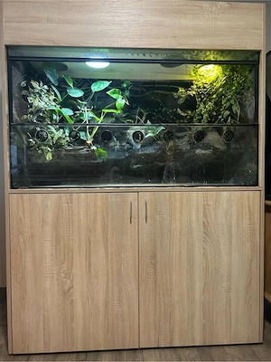 Hoppe Paludarium 140x65x190 cm mit Unterschrank