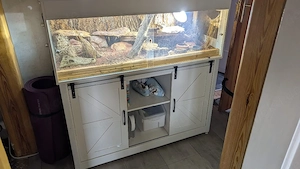 Komplett-Set: Großes Terrarium (120x50) mit gesunder Bartagame & Zubehör