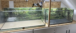 3 Aquarien  zu verkaufen