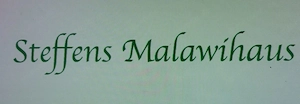 Malawi und Tanganjika Buntbarsche