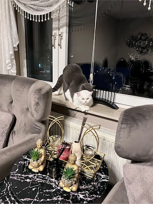 BKH Deckkater