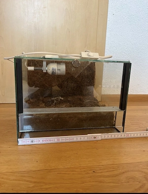 Kleines Terrarium mit Rückwand 