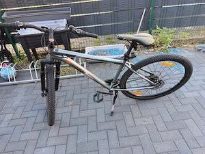 29 Zoll montainbike 