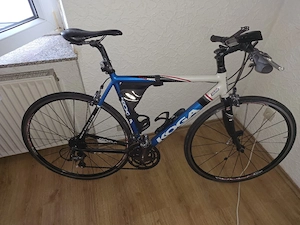 Koga Miyata Team Edition 28 Zoll   Shimano Ultegra   Top Zustand
