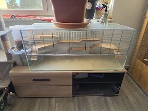 Hamster und Mäuse Terrarium 