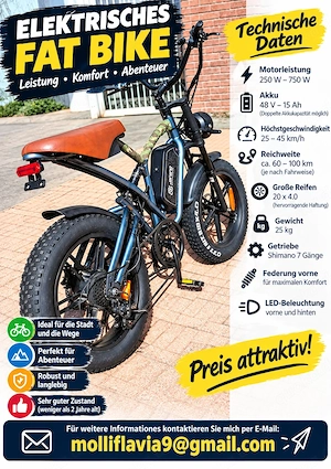 Elektrisches fat bike zu verkaufen