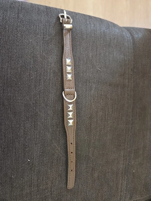 hundehalsband 