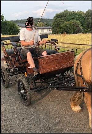 Wunderschöne Wagonette