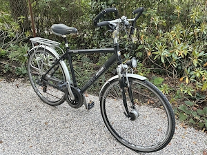 Herrenfahrrad 28 Zoll, Kettler, verkehrssichere Ausstattung, gut erhalten mit Wartungsbedarf 