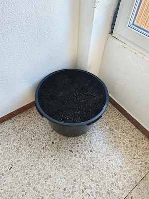 Ca. 80 Liter alte Blumenerde ZU VERSCHENKEN 