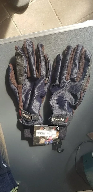 neue Reithandschuhe, Handschuhe 