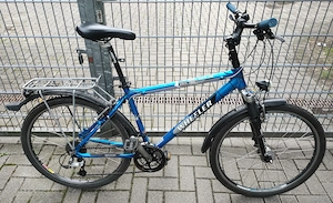 Wheeler Raceline 6900 Klassiker - fahrbereit Restomod - Bastler Projekt Fahrrad Mountainbike 