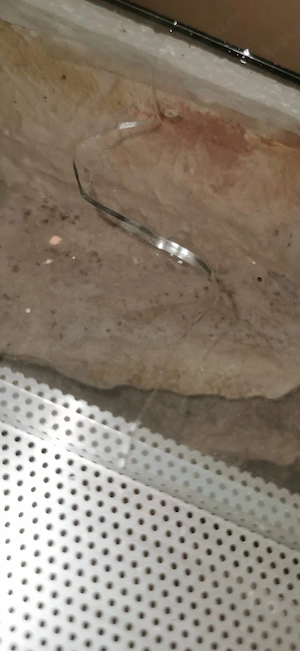 Terrarien zu Verkaufen 