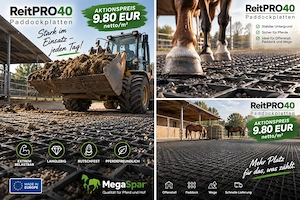 Paddockplatten kaufen & Rasengitter für Pferde - Paddockgitter für Paddocks und Reitplätze